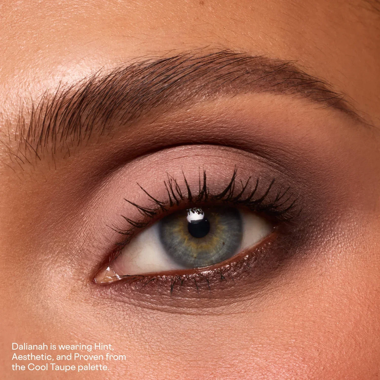 Major Dimension Essential Artistry Edit Eyeshadow Palette — foto 3 de 12